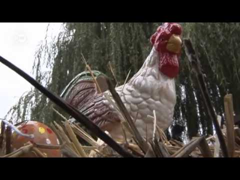 Madrid regala gallinas: beneficios para la ciudad y sus habitantes